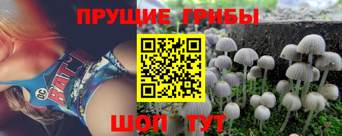 Галлюциногенные грибы GOLDEN TEACHER Когалым
